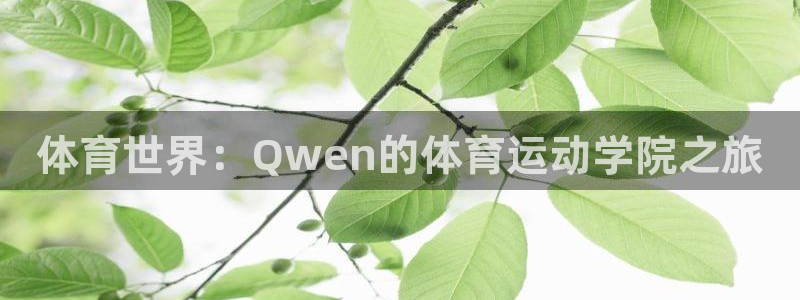 体育世界：Qwen的体育运动学院之旅