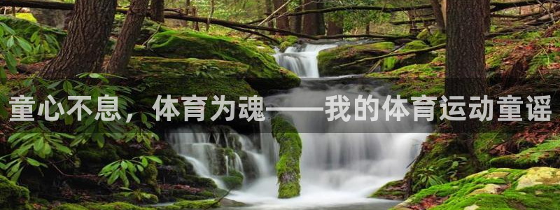 童心不息，体育为魂——我的体育运动童谣