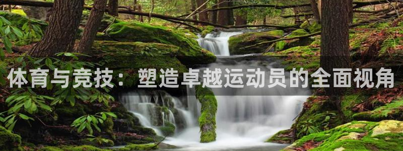 体育与竞技：塑造卓越运动员的全面视角