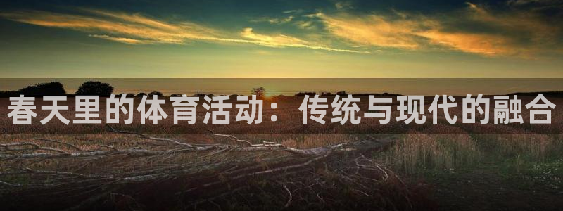 春天里的体育活动：传统与现代的融合